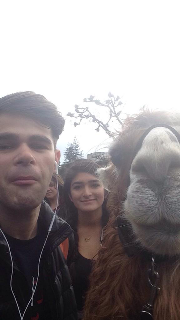 GabeInRegClass's tweet photo. Ignore the bitch in the back http://t.co/v9NTU4wPPk