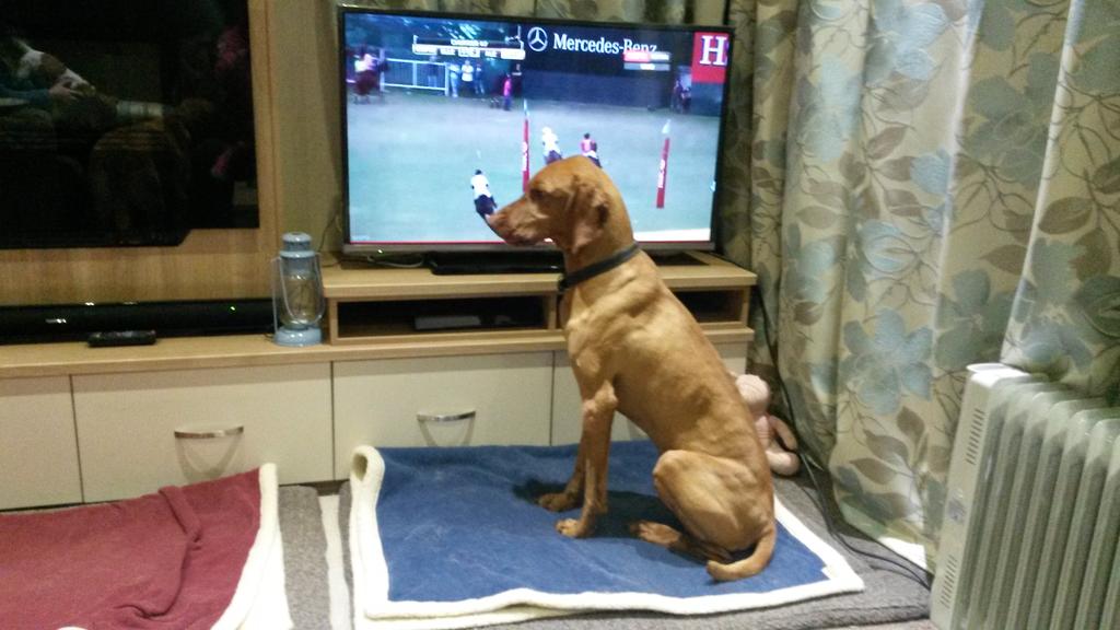 Sarah Wiseman tweet media