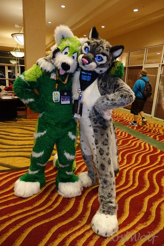 LostWolf321's tweet photo. .@FibreKitty and @TR3M3LO @rainfurrest #RF2014 http://t.co/W9YdY9UNFB