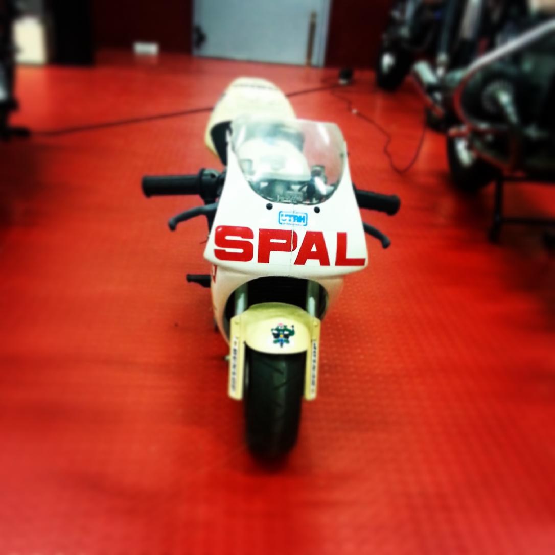 TassiIlaria tweet picture