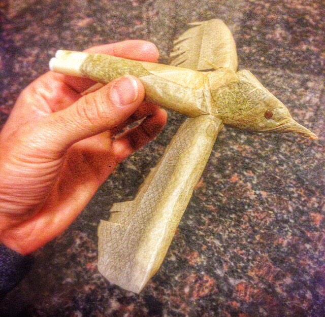 RAWLIFE247's tweet photo. Sometimes you just wanna fly away!
#JetLife
#CreativeRolling
#RAWbird
#rawlife http://t.co/gWoBZCycgC