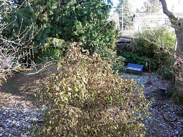 RegencyRealtySD's tweet image. Another Brand New Listing from Tim and Sharon Rohwer. 4436 46B Street, Ladner.