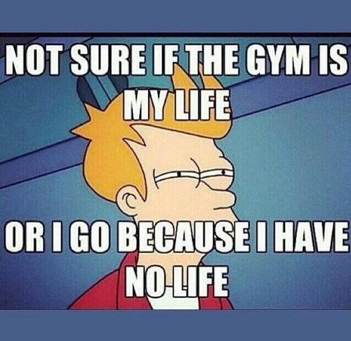 Gym Motivation tweet media