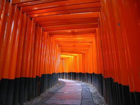 tabi_2018's tweet photo. 千本鳥居【京都】 https://t.co/sFsyxSSRvY #絶景