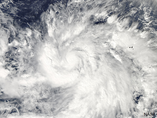 View image on Twitter View image on Twitter