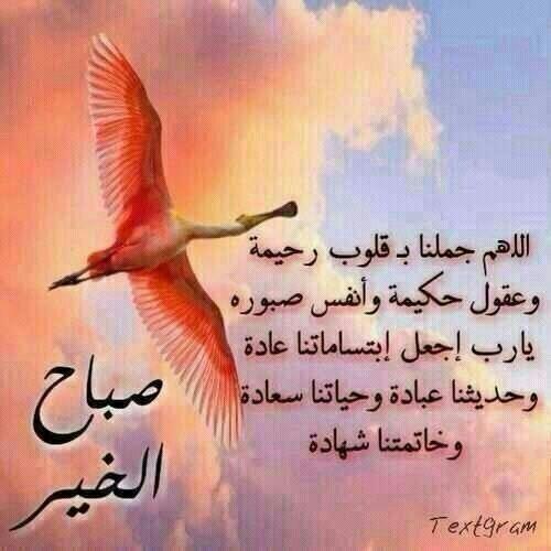 samHoorm's tweet photo. اللهم امين http://t.co/LyIDc3VSBF