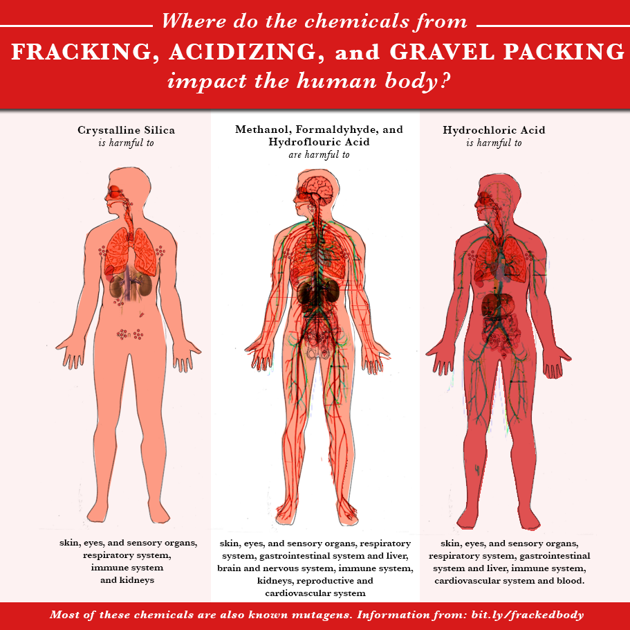 FacesOfFracking's tweet photo. How can fracking chemicals impact our bodies? #fracking #facesoffracking http://t.co/lkgeBhQTdT