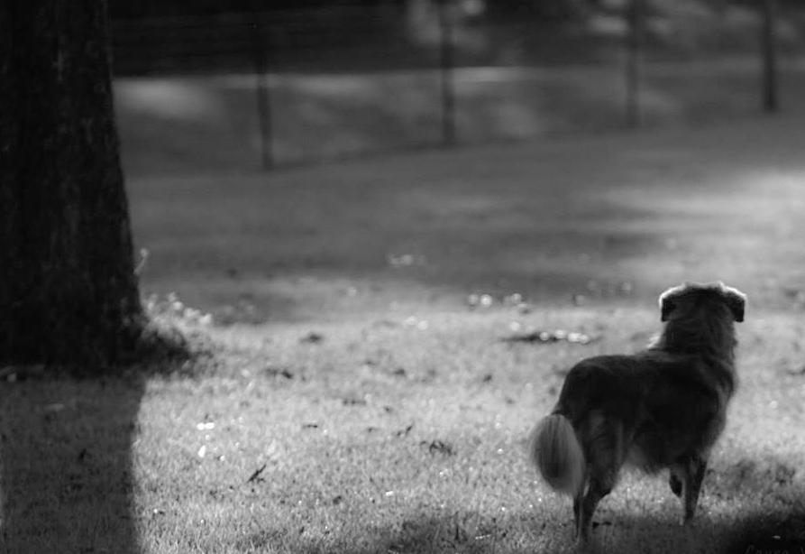 AUkeepsake's tweet photo. some black and white photos. http://t.co/dLSp8lR27P