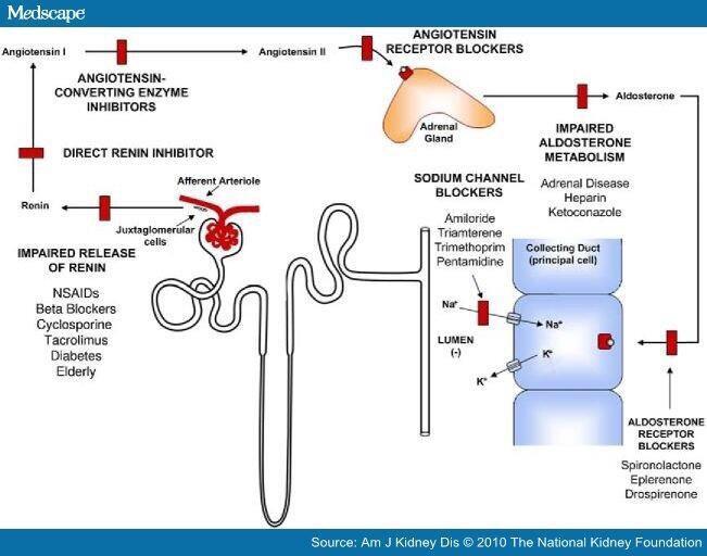 edgarvlermamd's tweet photo. Drugs and hyperkalemia for the Boards #Nephpearls http://t.co/FG8y4wSX7b
