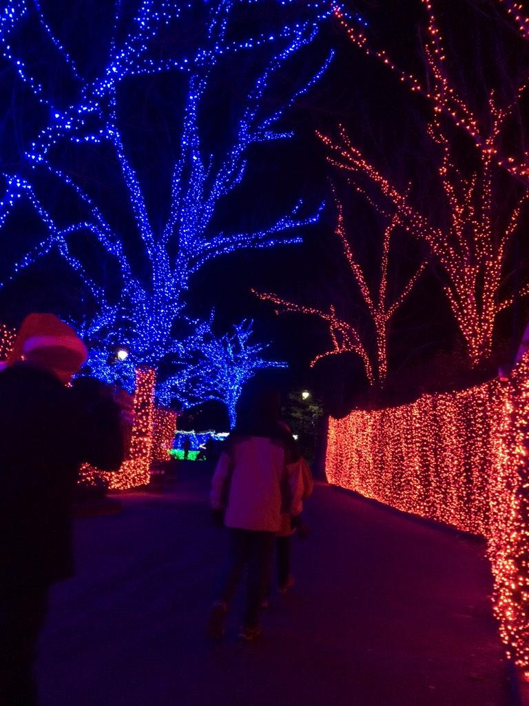 Tuesday night is a wonderful time to visit    #oregonzoo and the spectacular #zoolights!