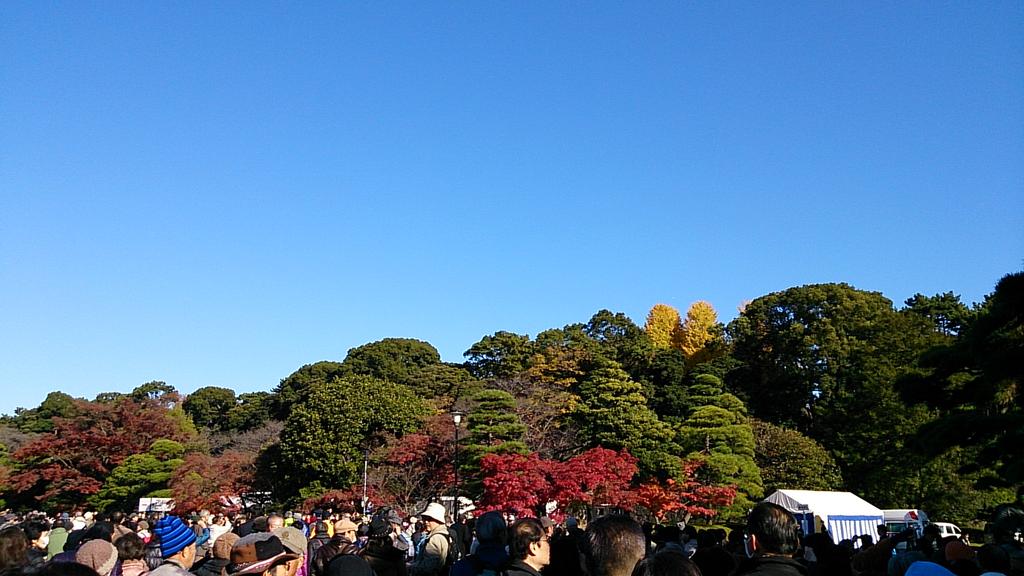 mitemite5's tweet photo. 皇居乾通り一般公開に来ました。 http://t.co/2VPtSIBuQu
