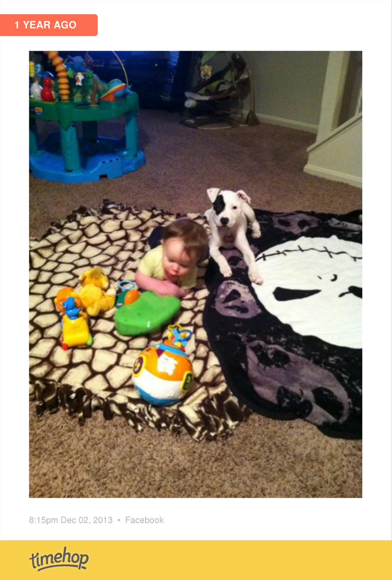 Hollybugann91 tweet picture
