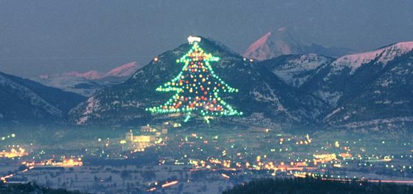 大きなお菓子のツリー オブジェ☆ 楽天市場】アドベントツリー クリスマス X'mas オブジェ オーナメント