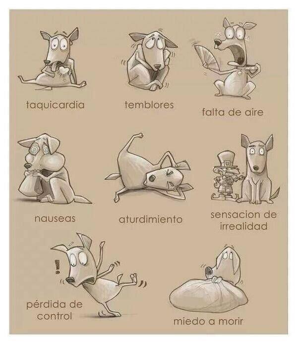Ecogranjero's tweet photo. Daños de la pirotecnia en los animales en Navidad y Año Nuevo. #CelebraSinPirotecnia #PirotecniaCERO http://t.co/1yU1vYXGv6