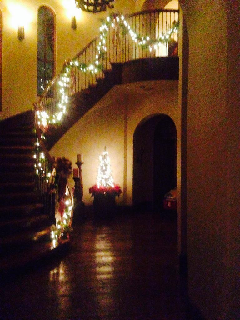 ograces's tweet photo. Yassssss Christmassss🎄 http://t.co/rNlbskTJH6