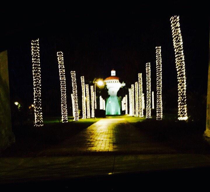 valdostaSGA's tweet photo. Lighting of the Palms tradition is back! There is no scenery anywhere in Georgia like Valdosta State!!! http://t.co/fdM4ozUQGJ