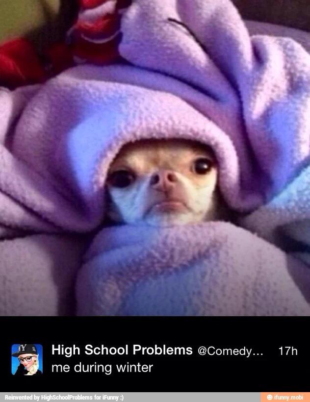 CorrineCarrie's tweet photo. Couple pics that make me laugh :) http://t.co/mT8r7QXrLa