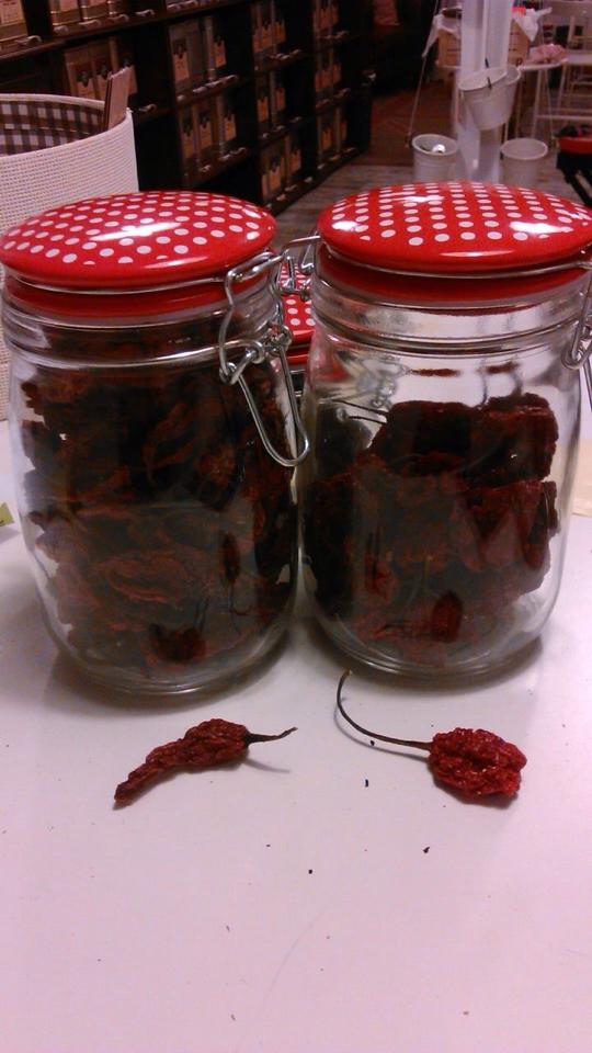 Te gusta el picante? Ya disponibles Naga Jolokia y Moruga Scorpion, dos de los chiles más picantes del mundo!!!