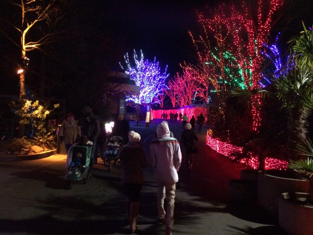 This will put you in the Christmas spirit! At the #oregonzoo #zoolights