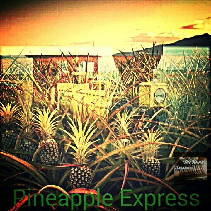 thegunksessions's tweet photo. Take this juicey, native fruit in the palm of your hands. Vup Vup! #vapelife #cloudchasers #ejuice #thegunksessions http://t.co/PySsKowh26