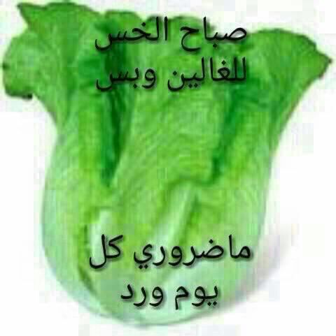 SAlmanassra's tweet photo. http://t.co/eP1lactcnQ