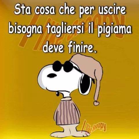 bradipo57's tweet photo. Buongiorno tweetteri @mattinieri!!! tt svegli e operativi?:)) http://t.co/pJV2KLkoP4