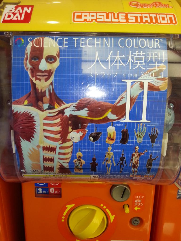 ガチャガチャ速報☆③妖怪ウォッチの妖怪メダル第１弾の復刻版!!と、大分リアルな人体模型ストラップ!にゃんこ大戦争ふにゅふにゅマスコット!入荷中＼(^o^)／  #妖怪ウォッチ #妖怪メダル #人体模型 #ガチャガチャ #にゃんこ大戦争