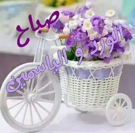 ffgkkdh's tweet photo. @satariraq808 صباح الخير http://t.co/hi9SXDgqhr