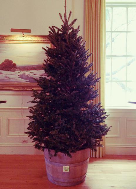 rusticscout's tweet photo. we're excited to tackle our #Christmason5th designer tree tomorrow - big reveal coming soon! http://t.co/RYqIgD7Lgf