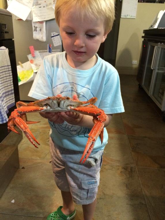 CocknBullEchuca's tweet photo. Little chef http://t.co/kBjsEydQ0B