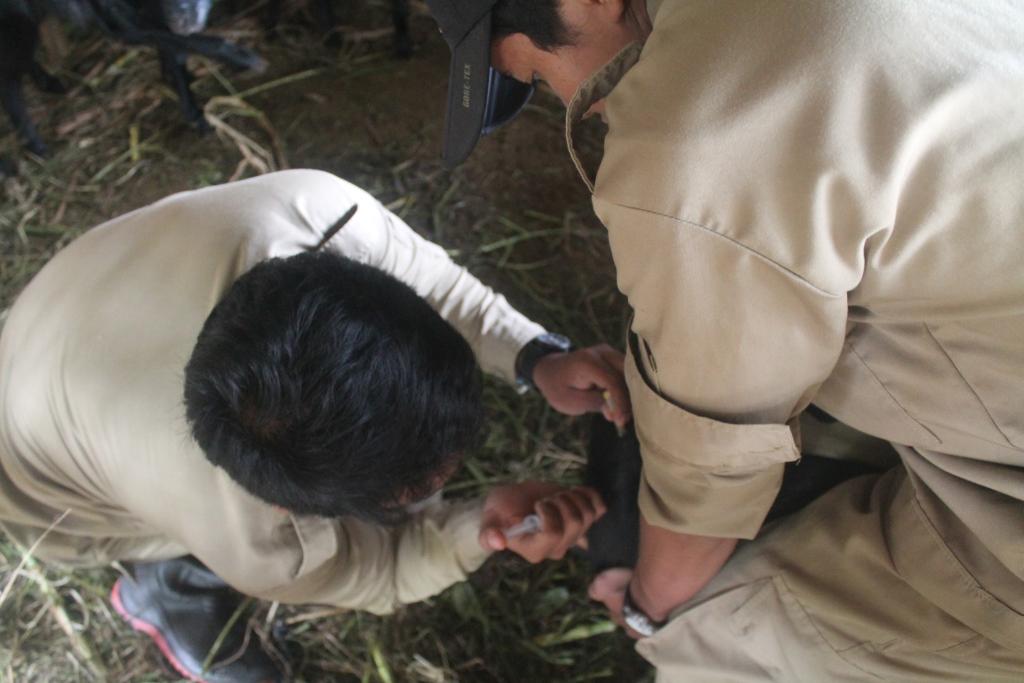 Wikan Sakarinto tweet media
