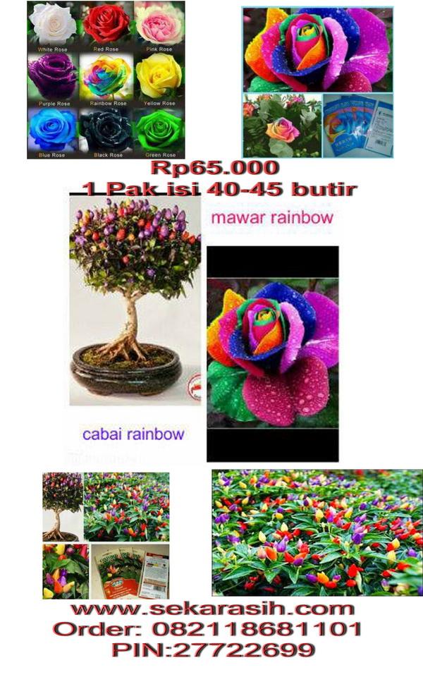 perindo10jatim's tweet photo. JUAL #BIBIT / #BENIH #BUNGAMAWAR DAN #CABAI RAINBOW CP:@SKColle @ohcumiklan @AdsReseller @IklanCeloteh @soreang_promo http://t.co/dopK2m3UFJ
