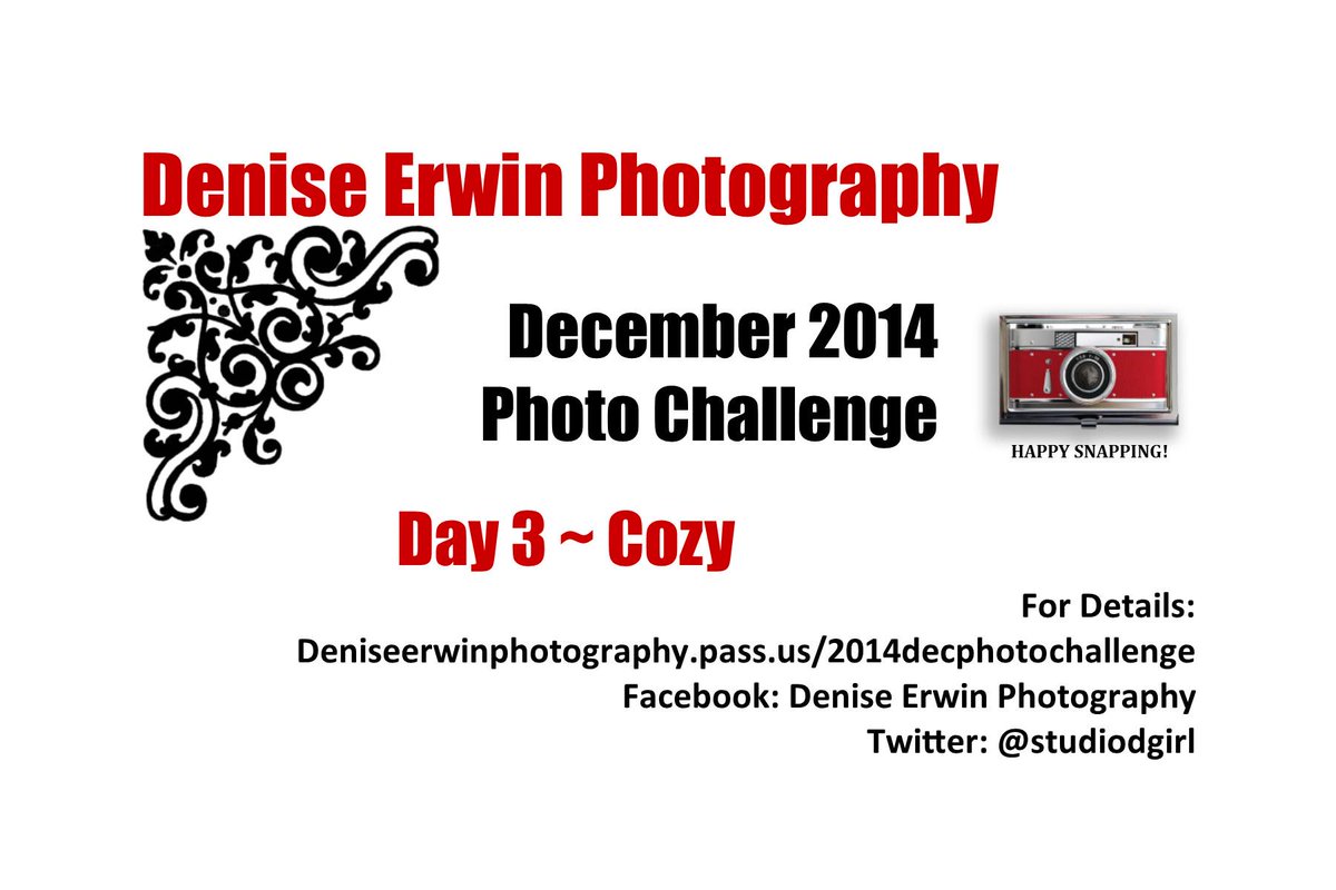 studiodgirl's tweet image. Keep those photos coming! Day 3 ~ Cozy #KeepSnapping #DeniseErwinPhoto