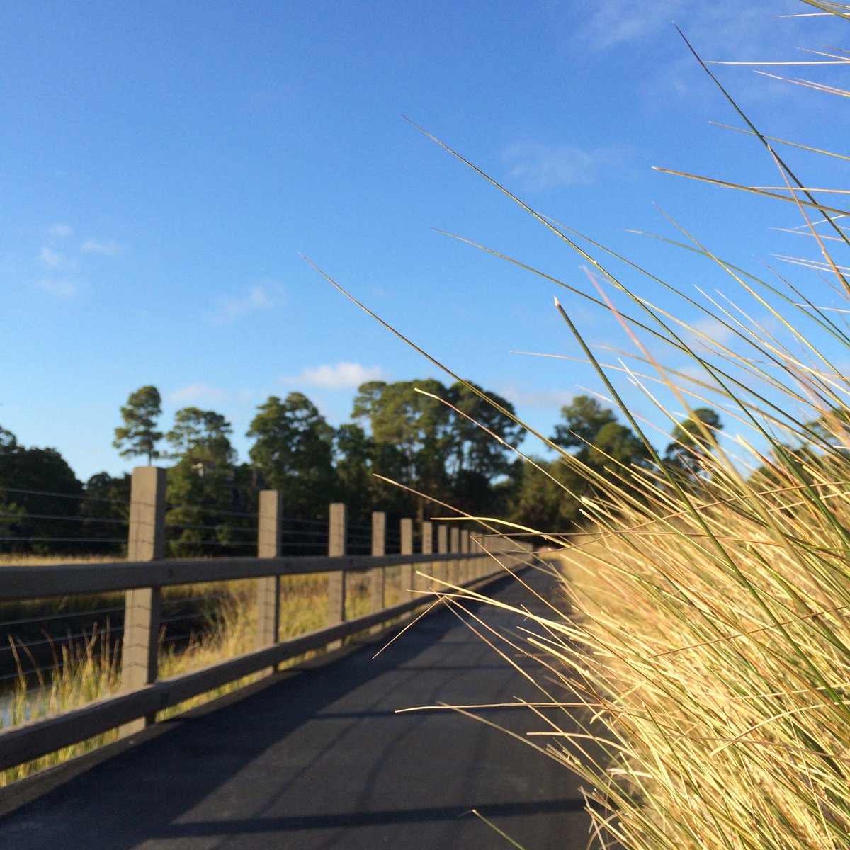 utapippig's tweet photo. #Running on one of my favorite trails... #lightsteps #joy #magic http://t.co/spBmzEFHk5