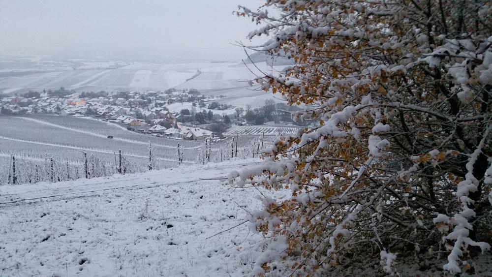 LuxTimes's tweet photo. First #snow #photo snapped in #Luxembourg this morning by @Wort_EN, view of #Wellenstein near #German border! http://t.co/10i2HY2dQn