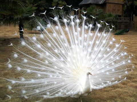 mailuonangle's tweet photo. beautiful? http://t.co/wYEXWECqE8