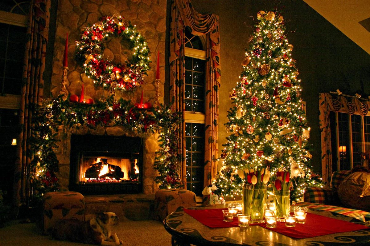 How to Choose and Prep a Christmas Tree Check it Out > thisoldhouse.com/toh/video/0,,2… #NH #christmas
