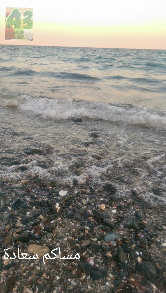 busultan2002's tweet image. 