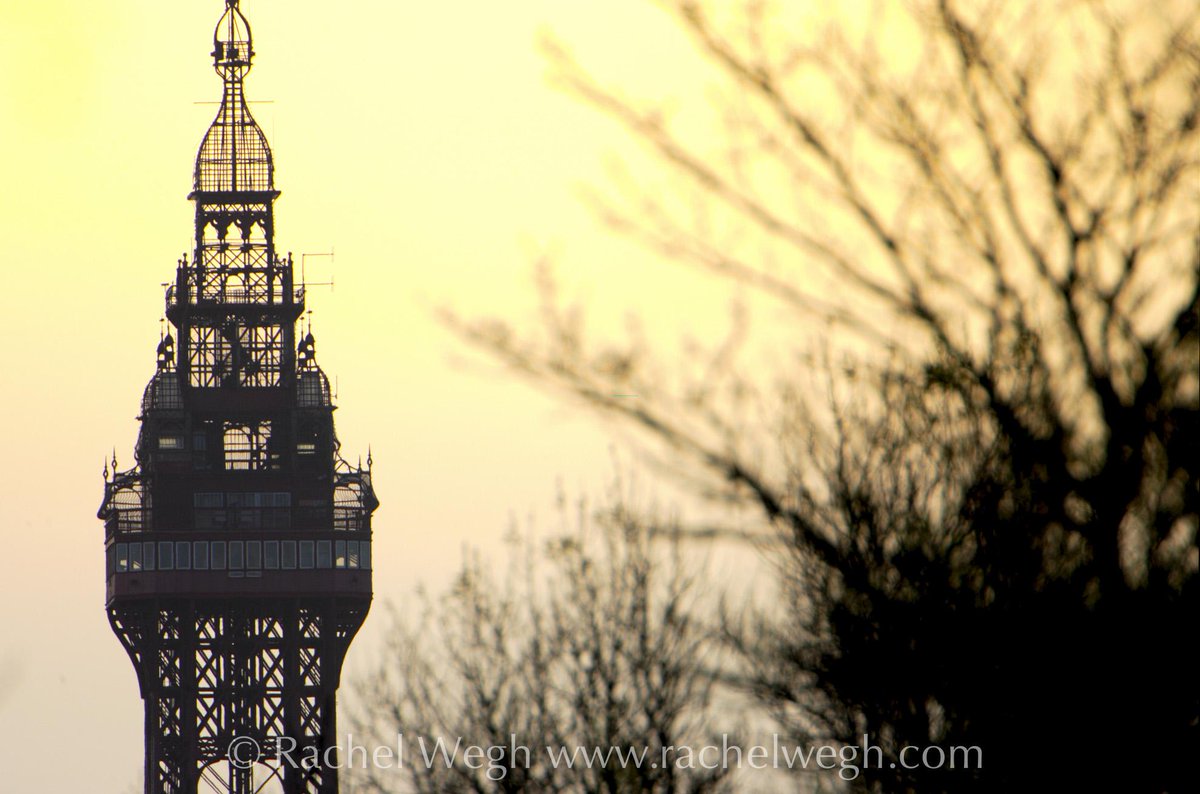 Nature in Construction <a href="/TheBplTower/">The Blackpool Tower</a> #blackpool #nature #photography