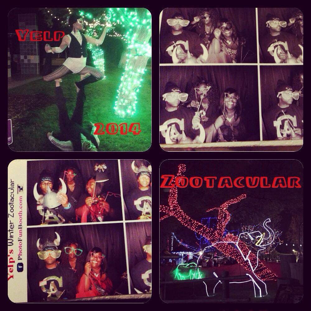 OMGitzTiffy's tweet photo. #Yelp #zootacular #yelp_elite #zoo_lights #winter_event #fun #crazy_pics #free_stuff #yelpzootacular #yelptucson http://t.co/MInHQaDJxL
