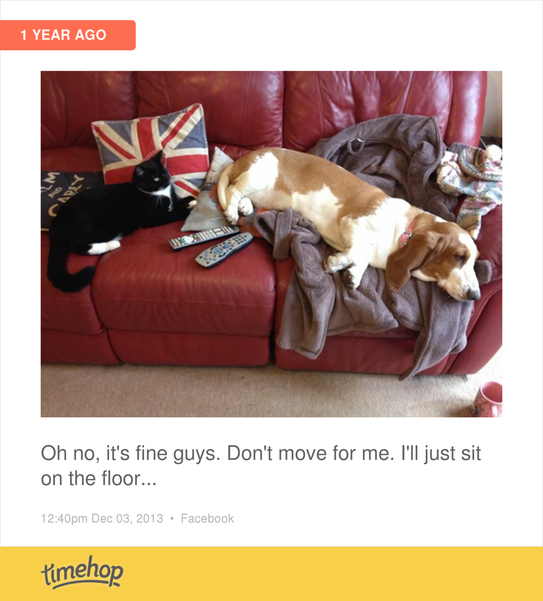 Double trouble! timehop.com/c/fup:10152446…