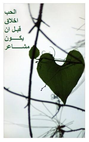 n12__sh's tweet photo. الحب أخلاق قبل ان يكون مشاعر ..
إذا فشلت في رفع احد لمستوي .
على نيتي أتكلم وعلى نياتهم يفسرون .
كل شي أذا كثر رخص .. http://t.co/XQtF1JOKJf