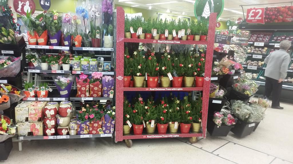 Julie and Karl trading Christmas Flowers and plants <a href="/WalshMandy/">Mandy Walsh</a> <a href="/CaroleHors/">Carole Horswill</a> <a href="/jt8569/">James Taylor</a> <a href="/headcaseymike/">Mike Casey-Head</a> <a href="/PortTalbotTesco/">Tesco Port Talbot</a>