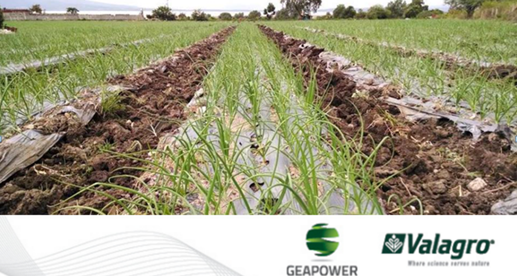 ValagroGroup-Br tweet media