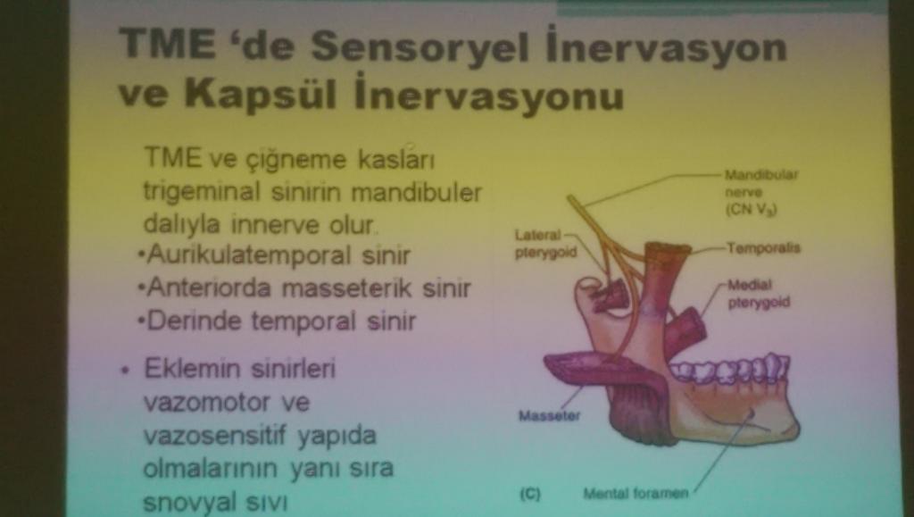 Çene eklemi dediğin bütün vücutla etkileşim halinde...