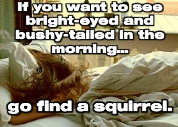 lil_miss_caf's tweet image. But seriously