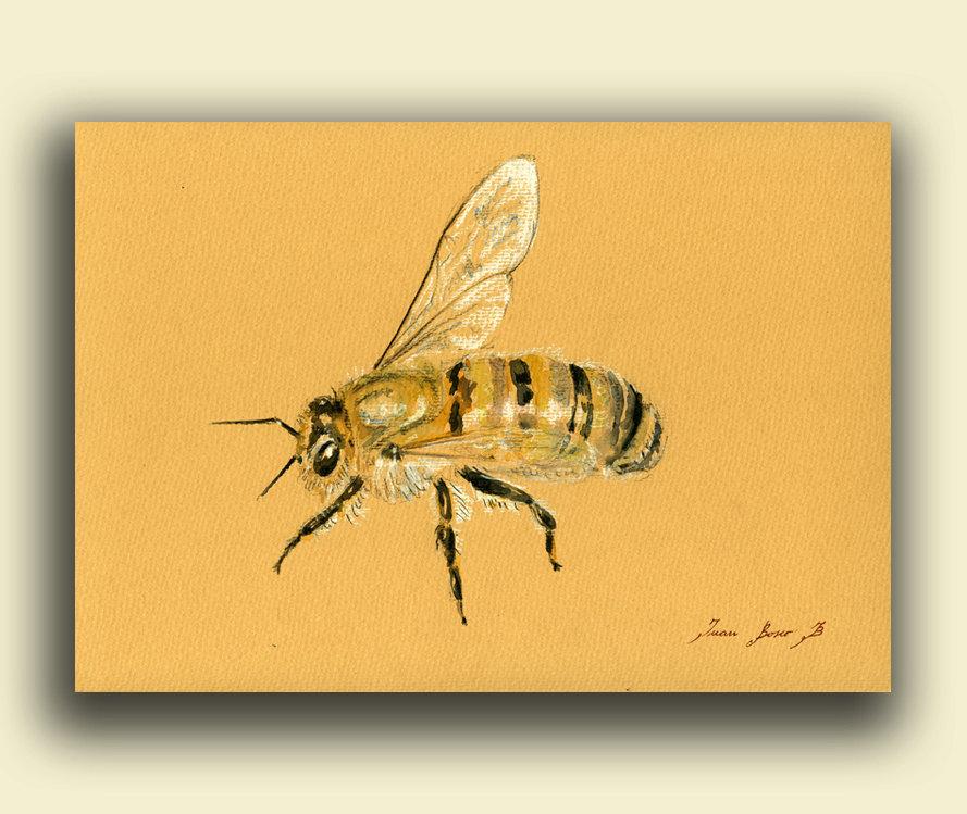 Enlace permanente de imagen incrustada