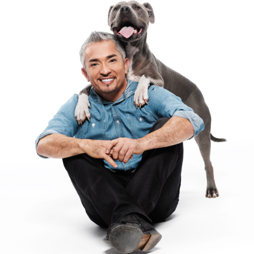Celebrity dog trainer millan crossword liciousryte
