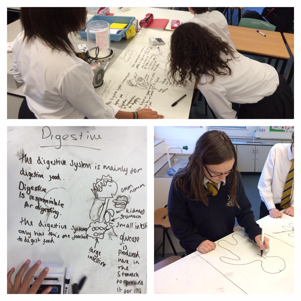 LucyRapps's tweet photo. Year 8 competition to complete best body system diagrams - info in hall way! @FHSBristol #FHSoutstandingpractice http://t.co/yfk3RrRKQr
