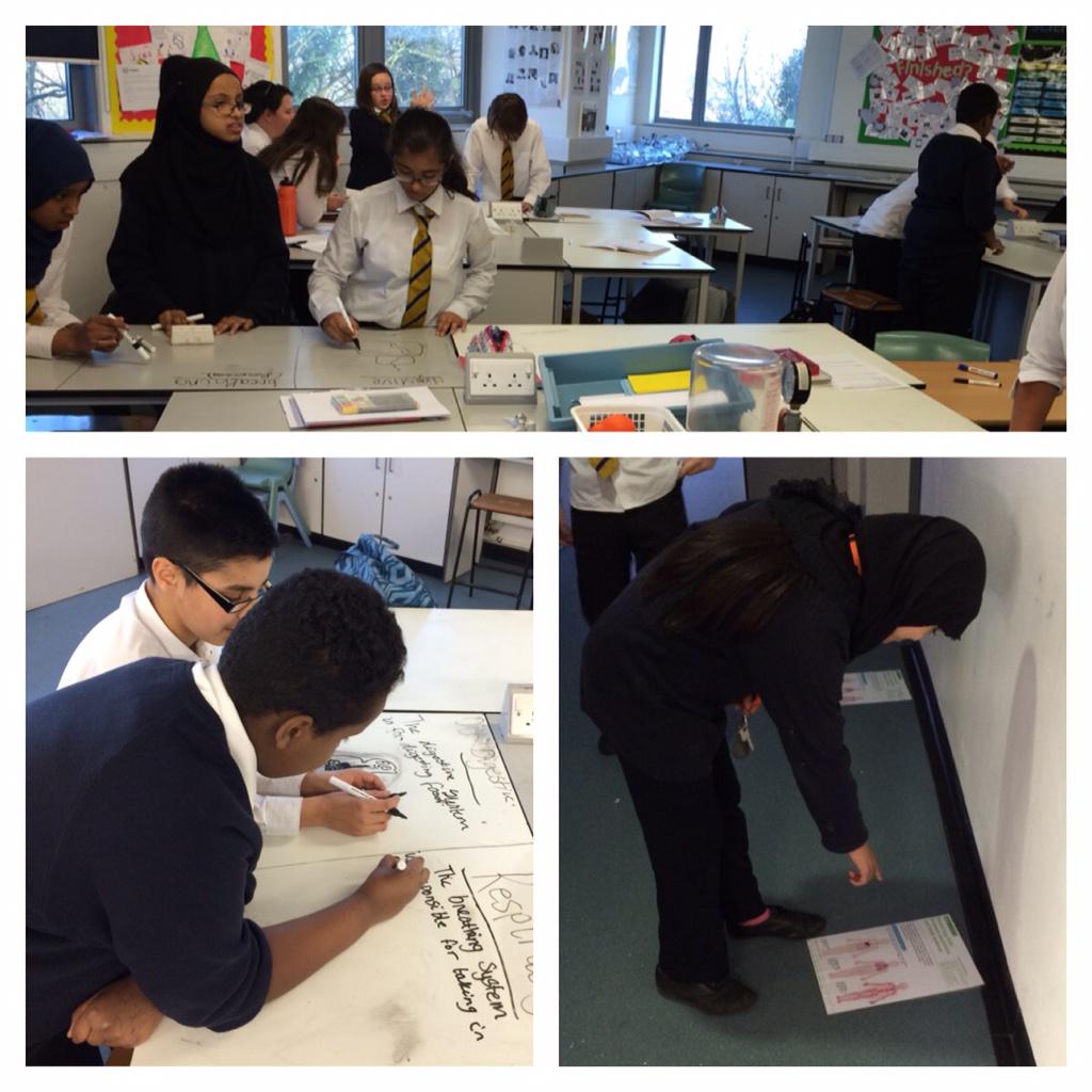 LucyRapps's tweet photo. Year 8 competition to complete best body system diagrams - info in hall way! @FHSBristol #FHSoutstandingpractice http://t.co/yfk3RrRKQr